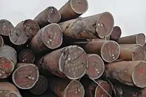 چین کی ساپیلی لکڑی کی درآمد میں اضافہ ہوا